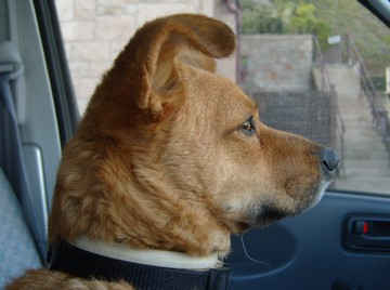An Image Slideshow