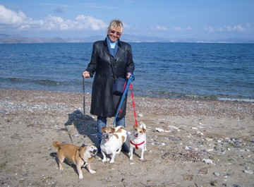 An Image Slideshow