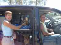 petchauffeur.eu petchauffeur.eu