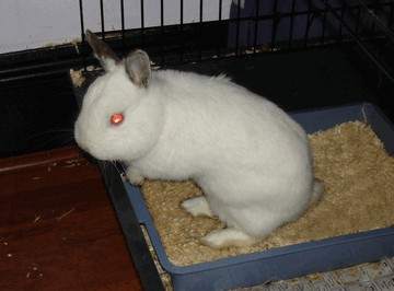 An Image Slideshow