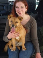 petchauffeur.eu