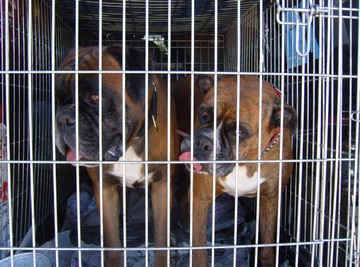 An Image Slideshow
