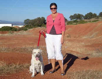 An Image Slideshow