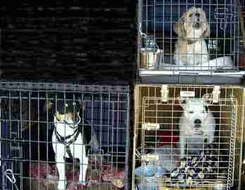 An Image Slideshow