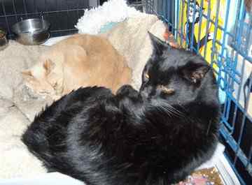 An Image Slideshow