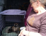 petchauffeur.eu
