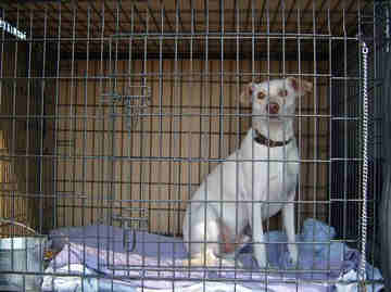 An Image Slideshow