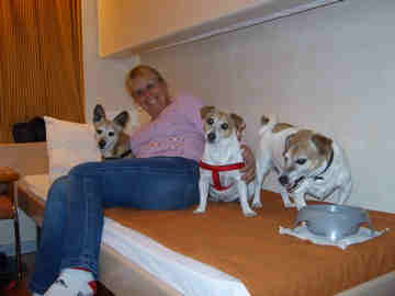 An Image Slideshow