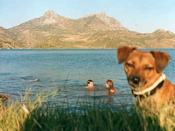 An Image Slideshow