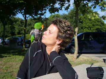 An Image Slideshow