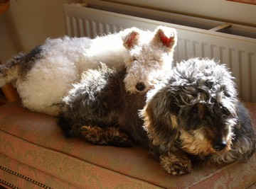 An Image Slideshow