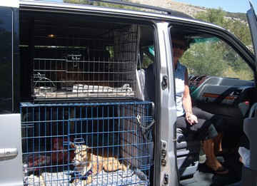 An Image Slideshow