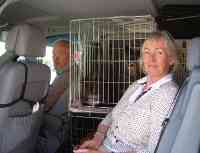 petchauffeur.eu petchauffeur.eu