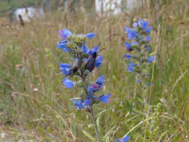 Taken near Folkestone, UK.