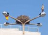 A lofty home, on a roundabout in the centre of Faro, Portugal.