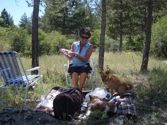 Picnic in the 'campo', en route from Benalmadena to Ashford.