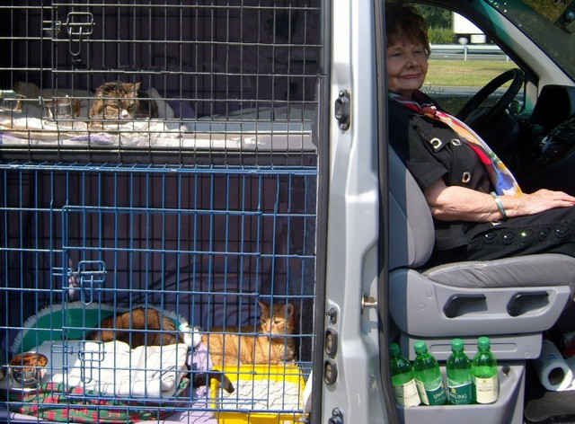 Rose-Marie with Coco, Rudi & Buffy, en route from Gibraltar to Scotland. 