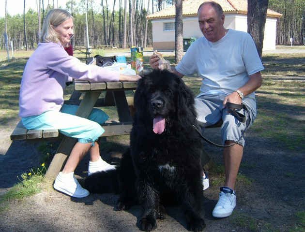 Sue, Roger & Benson, en route from S.Portugal to Surrey.