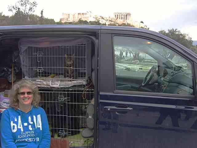 Deborah with her Mum´s 3 dogs & 4 cats taking a break in Athens, en route from N.Cyprus to N.W.France.