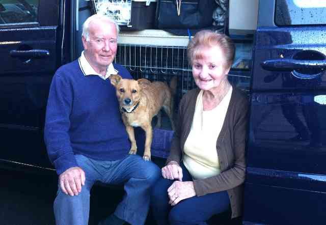 Jack & Peggy - and Julio - having travelled from Alicante to Somerset with their dear Katie.