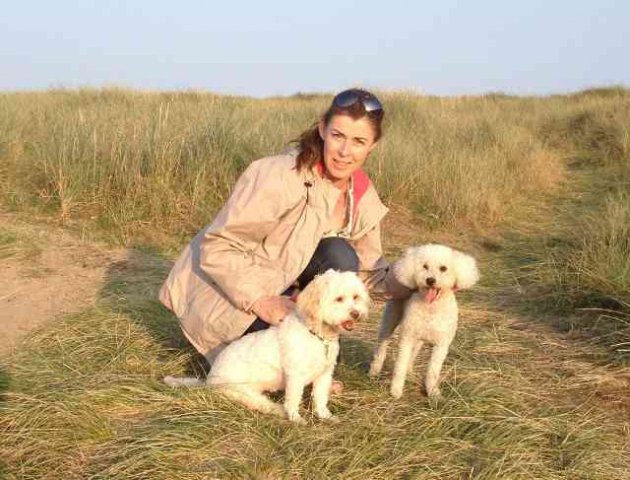 Arlene, Molly & Grey enjoying a run on the beach, after having just arrived off the ferry in Rosslare, Ireland - having come all the way from Málaga, in the south of Spain.