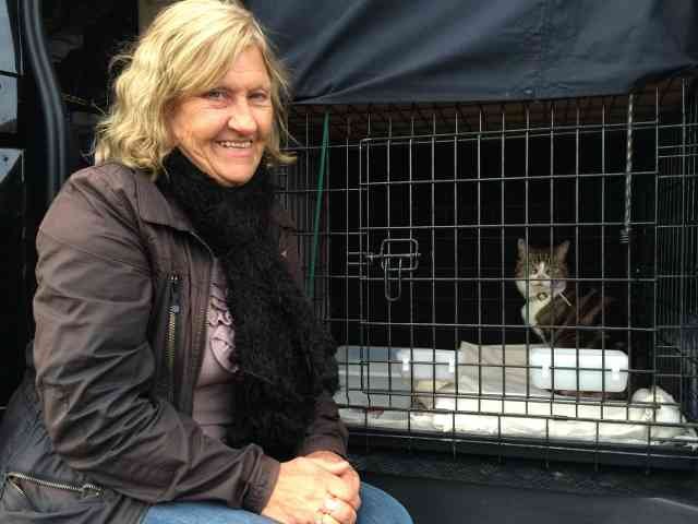 Ann and Elmo on their journey from Orihuela in Spain to Manchester.