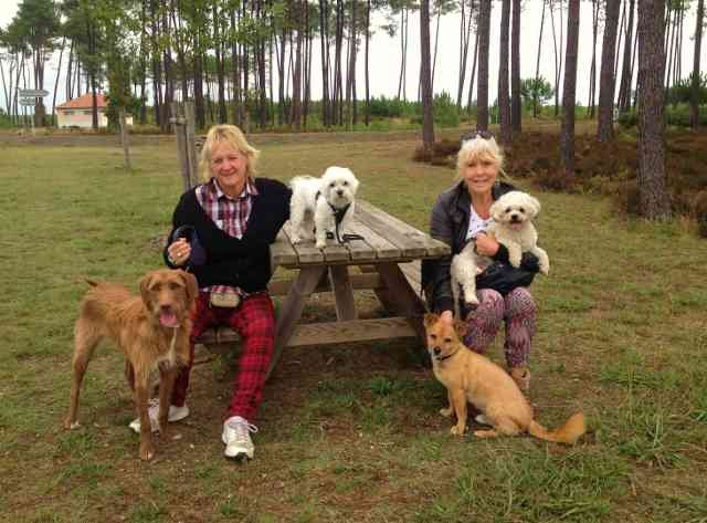 Wendy and Shandy, Sandra and Cindy, Sean and Julio, taking a break on their various journeys from Spain to the UK.