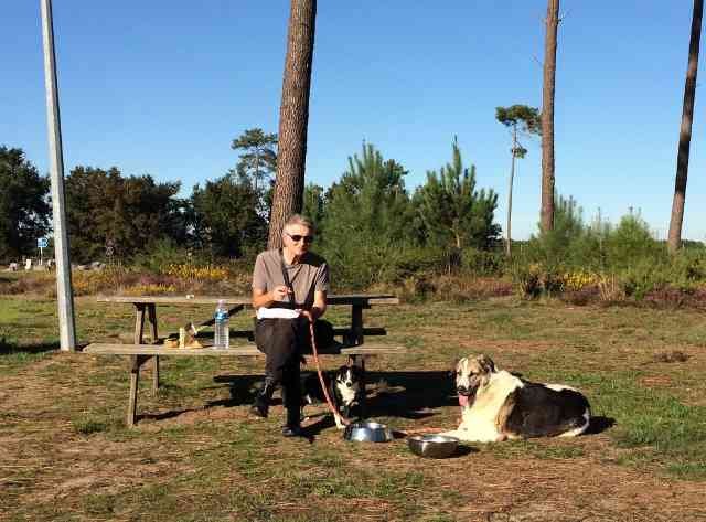 Tony with Nelson and Rufus, enjoying a lunch break, on their journey from Coín, S.Spain to Leics, UK.