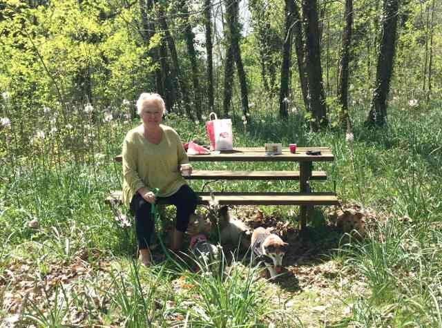 Caroline and the 3 Amigos (& Julio), enjoying a picnic in S.W.France, on their journey from Jersey in the C.I. to their new home in Murcia, Spain.