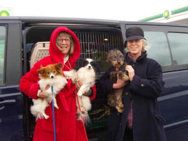 Diana & Nell - with Joey, Bobby & Iris, having a chilly break in France, during their trip from London to Nerja, in S.Spain.