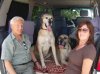 Alan & Sandra with Bella & Poppy, en route from Derby to Torrevieja.