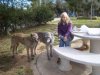 Pat with Teazel & Milo enjoying a picnic in France, on their way from Somerset to the Jalon Valley in Spain.