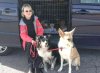 Margaret, Mac and Boudi, with their four feline friends (Oro, Chispa, Tottie & Timmy) behind, on their way from Overstrand, N.Norfolk to Marbella, S.Spain.