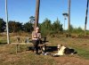 Tony with Nelson and Rufus, enjoying a lunch break, on their journey from Coín, S.Spain to Leics, UK.