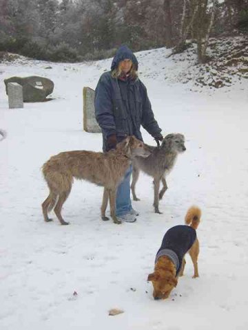 Pat, Teazel & Milo 'braving the elements' during an exercise break in France - brrr!