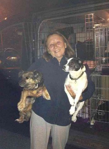 Bonnie with Sierra and Bob, having just arrived in E.Yorkshire, from La Cala in southern Spain.