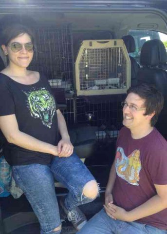 Blanca and Tom, with their three cats, Mina, Harvey, and Walter, on their journey from Madrid to London.