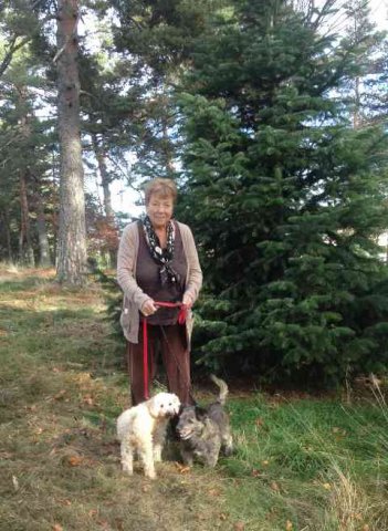 Ellen, Missy and Boy, enjoying a 'leg-stretch' in mid-France, on their journey from Orihuela in Alicante, Spain to Ilkeston in Derbyshire.