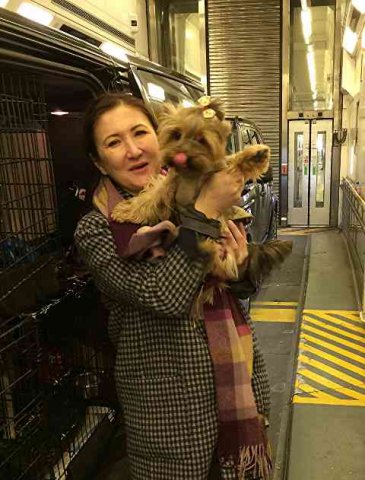 Elena and Simon in Eurotunnel, on their way from Russia (via Paris CDG) to London.