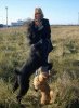 Helen, Digby & Julio playing with a ball, on their way from S.Spain to Mansfield.