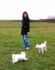 Arlene, Molly and Greyenjoying a walk on the beach, having just arrived back in Ireland.