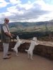 Malcolm, Loopy & Sassy, taking in the view of the Millau Viaduct, on their journey from Charlwood in Surrey to Mojacar in Spain.