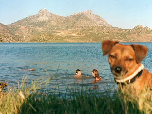 'Anyone for a swim?'