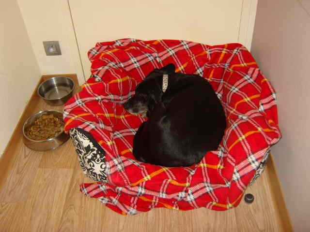 Jason asleep in his bed in the hotel room, on his way from Mallorca to Maidenhead.