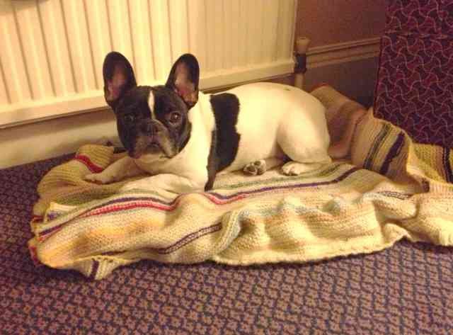 Lia, settled down for the night in the hotel room, on her way from London to Valencia.