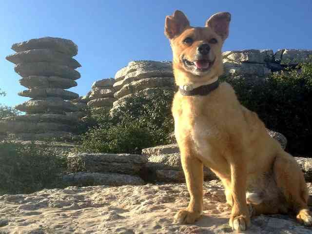 Juli posing beside 'El Tornillo', in El Torcal' Nature Park, Antequera, in southern Spain.