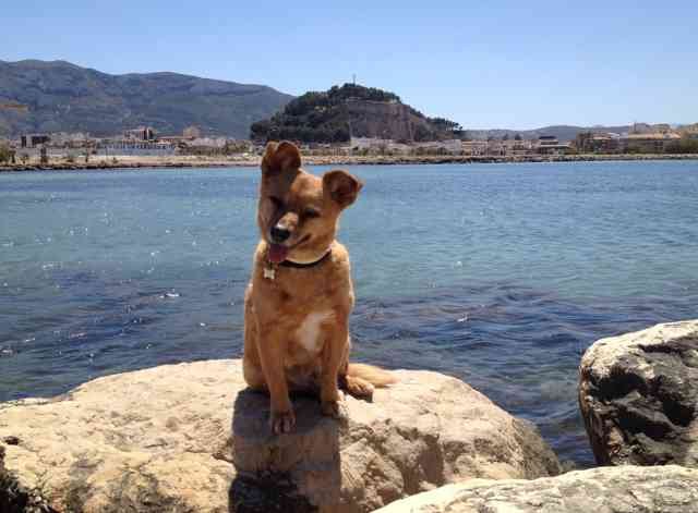 Juli waiting for the Ibiza ferry to come in at Denia.