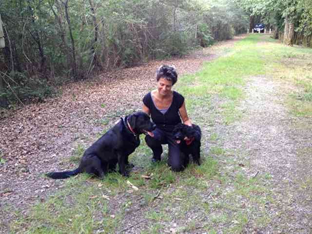 Yoda and Frankie enjoying a walk in France with Den, on their way from London to Madrid.