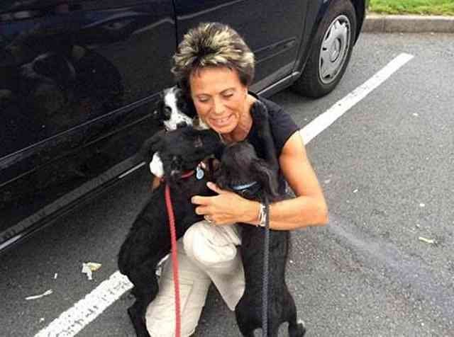 Little rescued pups saying 'Goodbye' to Den, having travelled from the south of Spain to their new 'forever' homes in England.