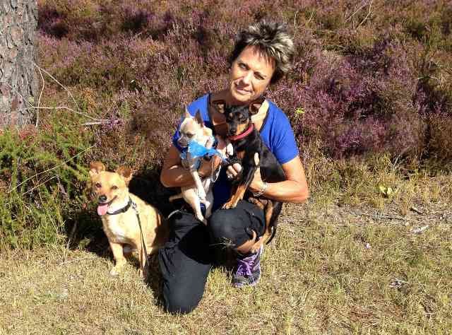 Little Blue and Tess, enjoying a break in the sunshine in France, on their way from S.Spain to the UK.